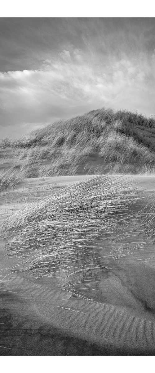 Dunes | Motion | I by David Baker