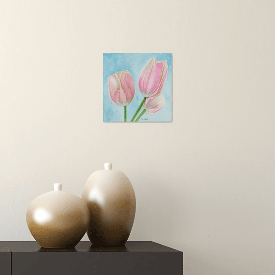 Pink tulips