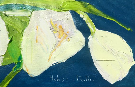 " Tulips"