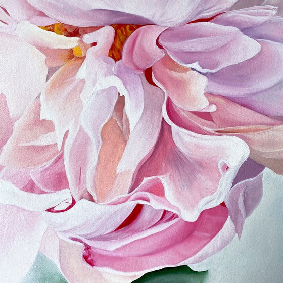 Pink Peony