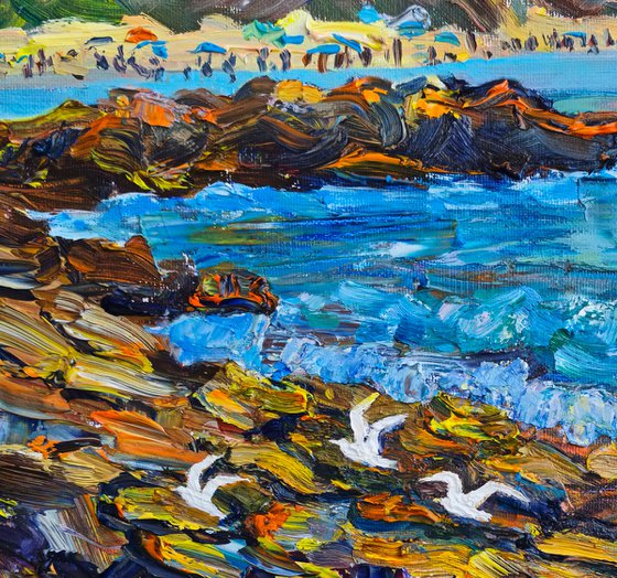 Mediterranean Reefs at Tel Dor