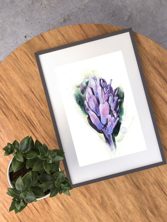 The Most Honourable Hyacinth