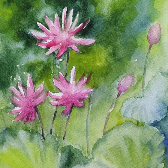 Pink Water Lilies Sl. No 18