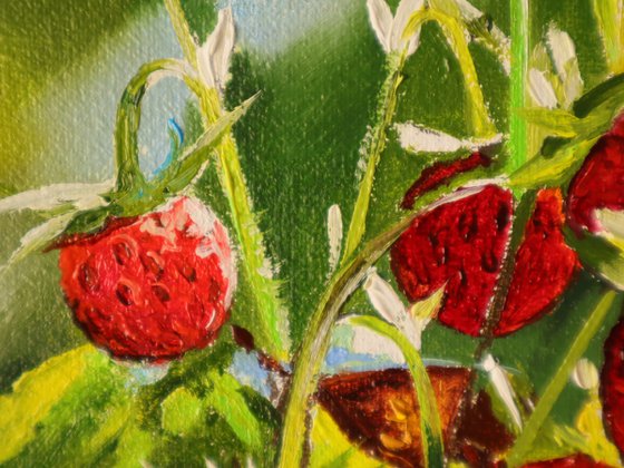 Wild Strawberries in Sunlight