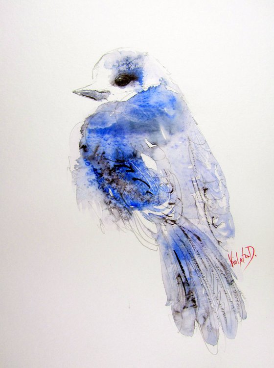 Blue Jay