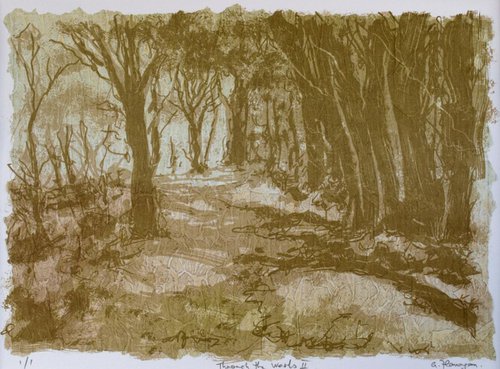 Through the Woods 2 by Aidan Flanagan Irish Landscapes