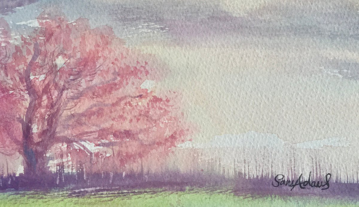 Cherry blossom, reeds, calm by Samantha Adams professional watercolorist