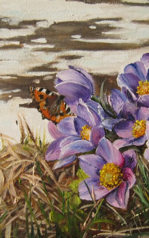 Spring Crocuses & Butterfly by Natalia Shaykina