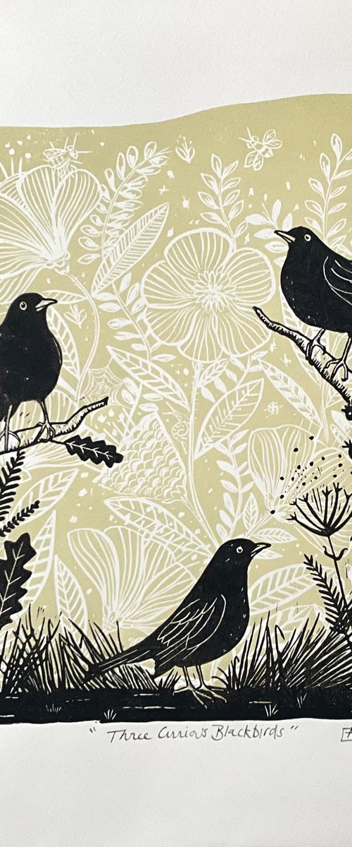 Three Curious Blackbirds by Alison Headley