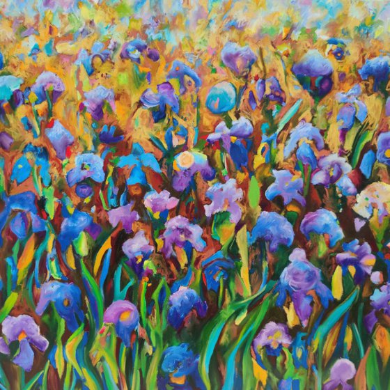 Blue Iris Fields