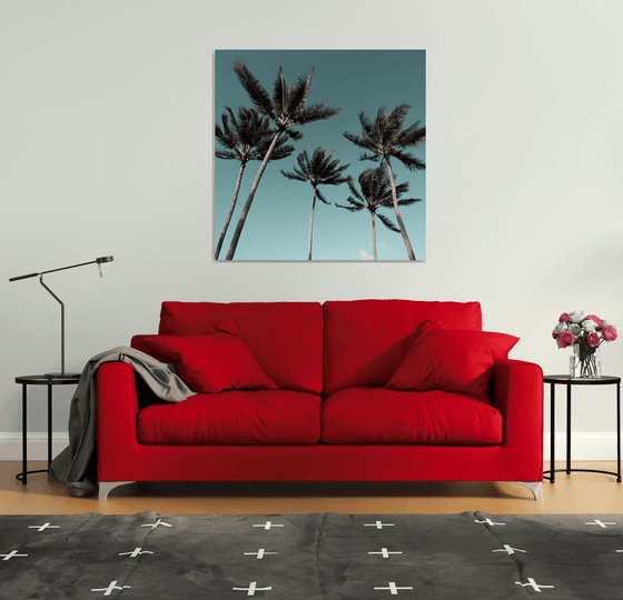 Palms