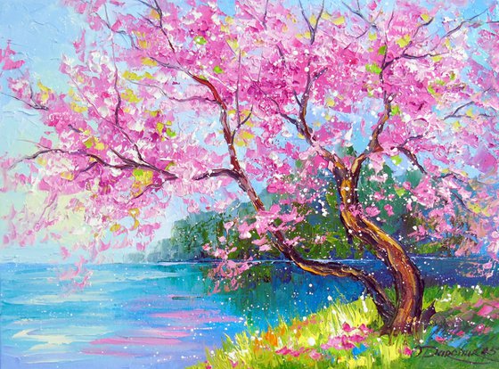 Cherry blossom by the river