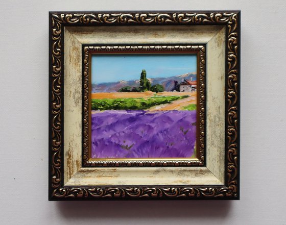 Lavender Fields Scene