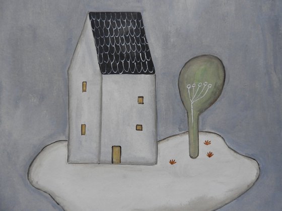 The house in the night
