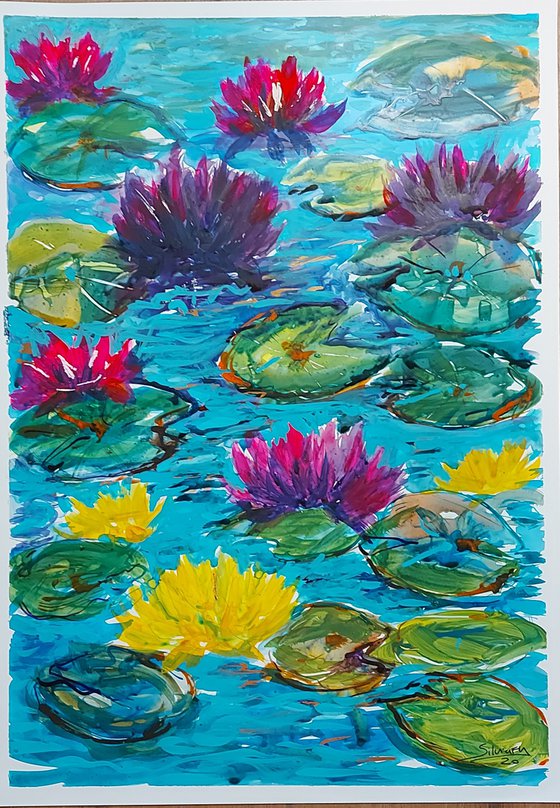 Yellow and pink water lilies