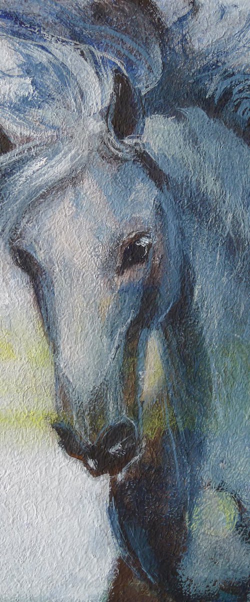 Blue horse by Tatyana Kaganets