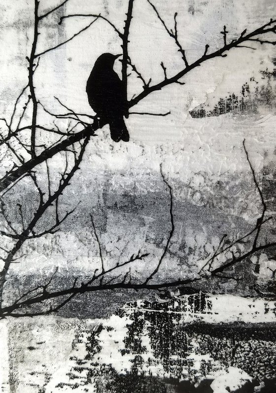 The Watcher