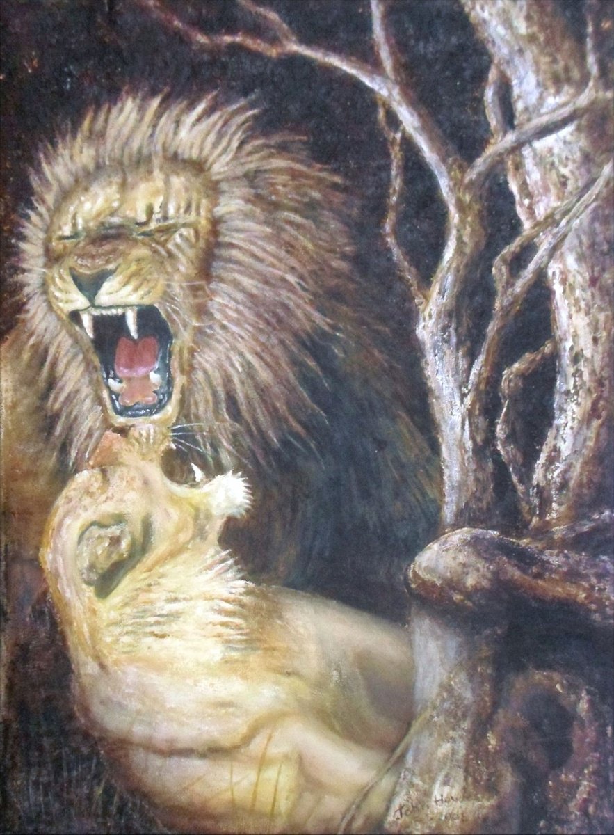 Photorealistic Animal Oil Painting By John Howes, 15 X 24, Lions At Night., Original Artwork