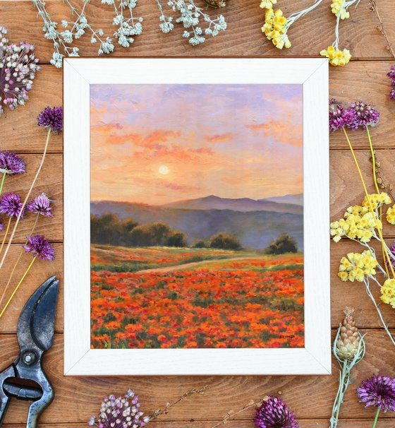 'Peaceful poppy field'