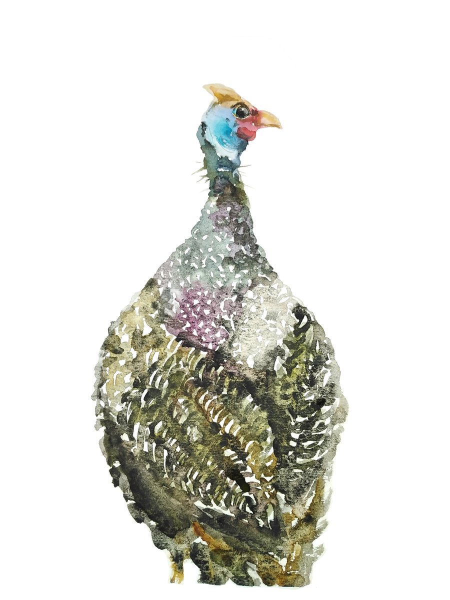 Guinea Fowl Bird, watercolor illustration by Tanya Amos
