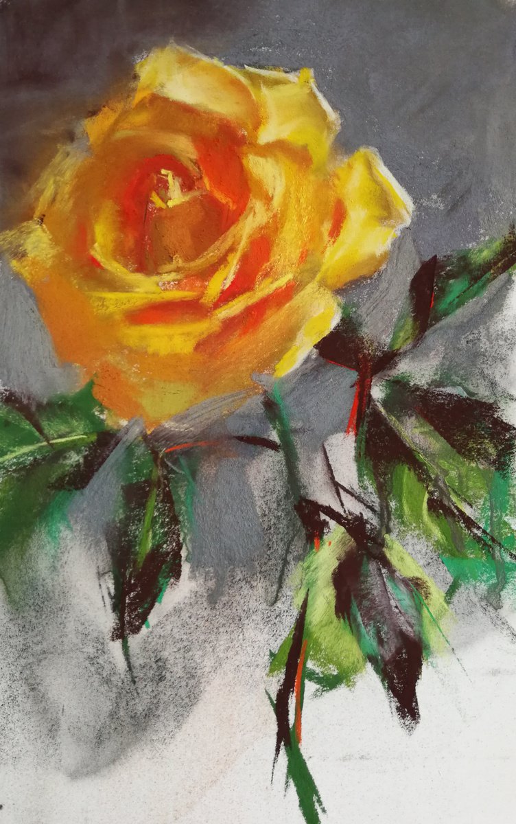 Yellow Rose by Silja Salmistu