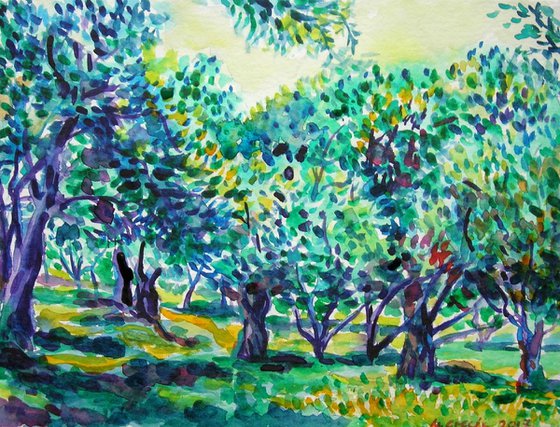 Old olive orchard III