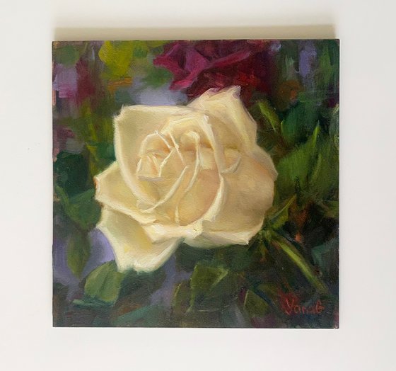 Cream Rose Original Oil Painting