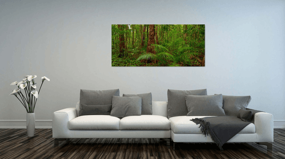 Daintree