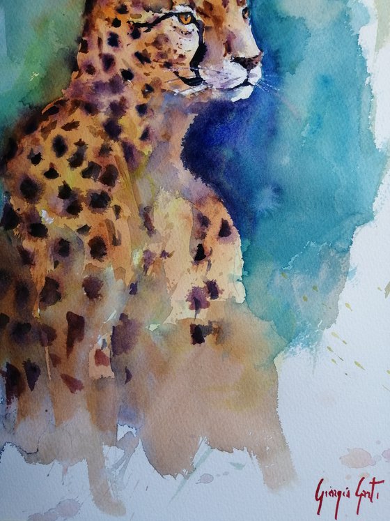 cheetah 11