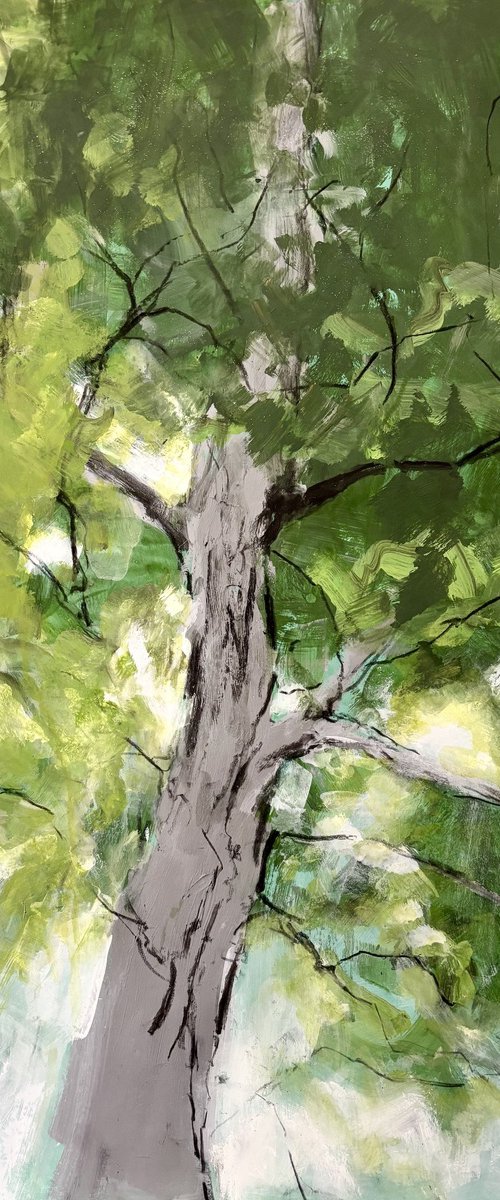 Summer Light by Joanna Farrow