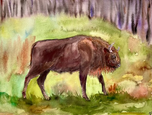 Bull Watercolour Painting, Buffalo Artwork, Bison Cow Wall Art, Farm Animal Art by Kate Grishakova