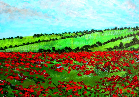 Hampshire Poppy field