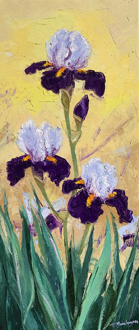 Irises at Sunrise A2,A1,A3   80x140cm