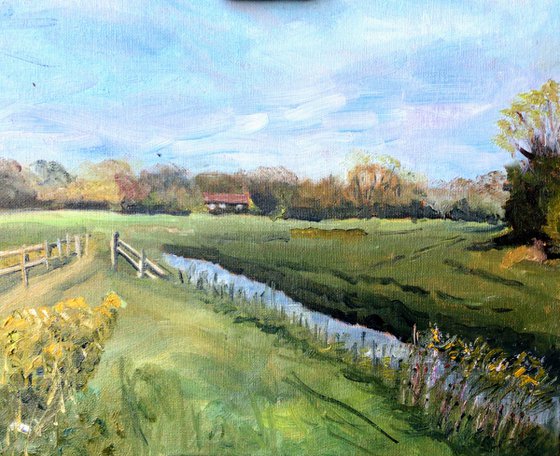 Kentish meadows in the sunshine. An original oil painting.