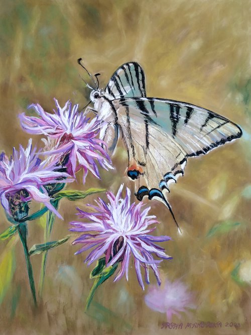 «Butterfly»/«Farfalla» by Iryna Makovska
