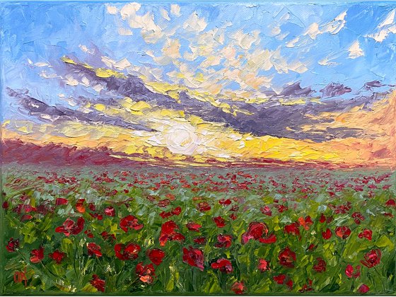 Poppy field at sunset