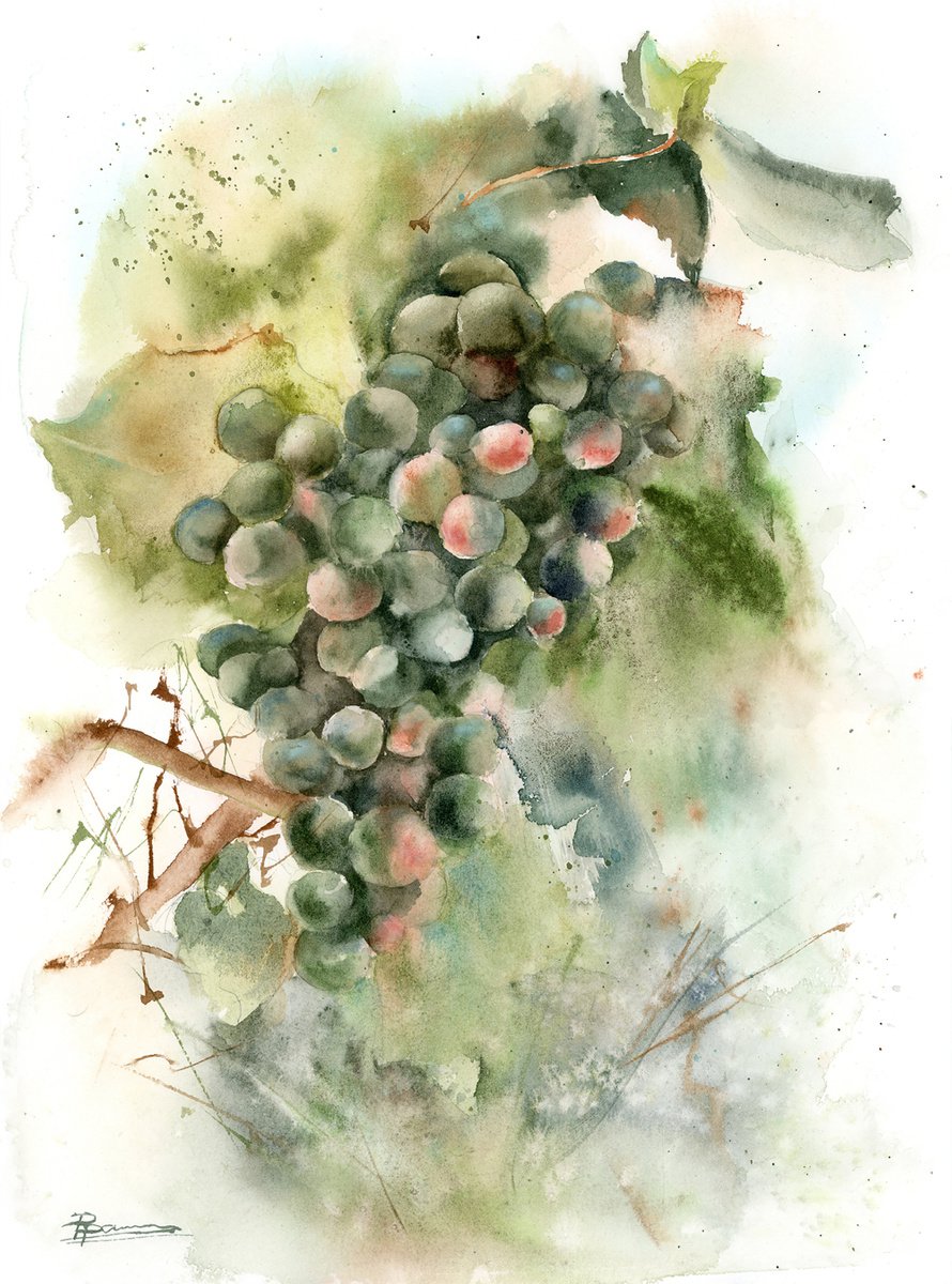 Grape branch (2 of 2) by Olga Shefranov (Tchefranova)