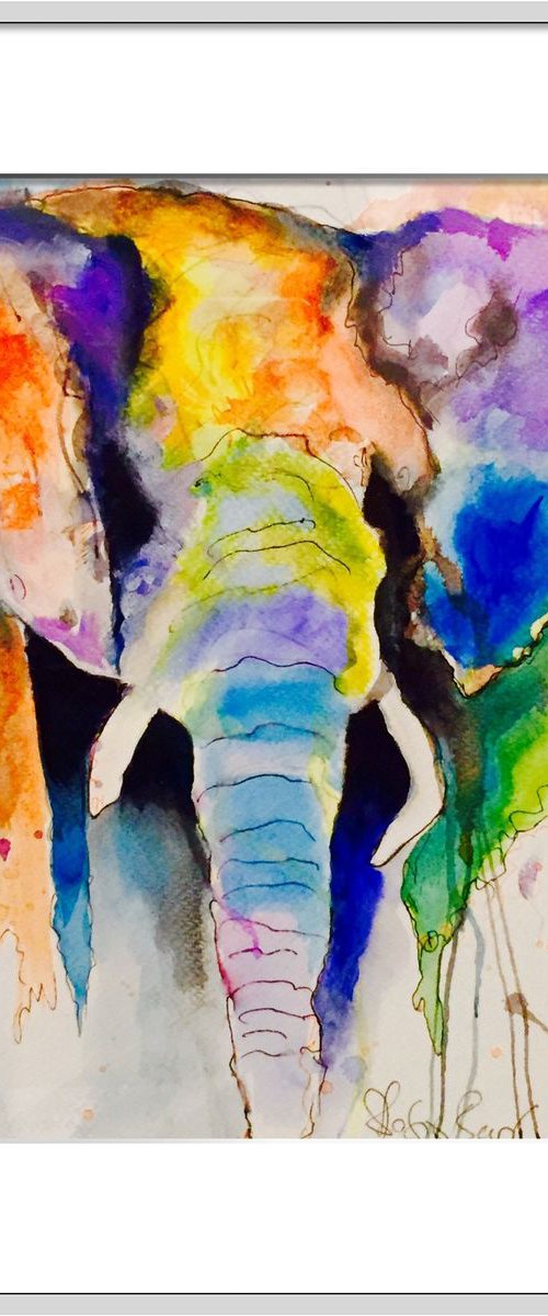 Indian elephant by Shabs  Beigh