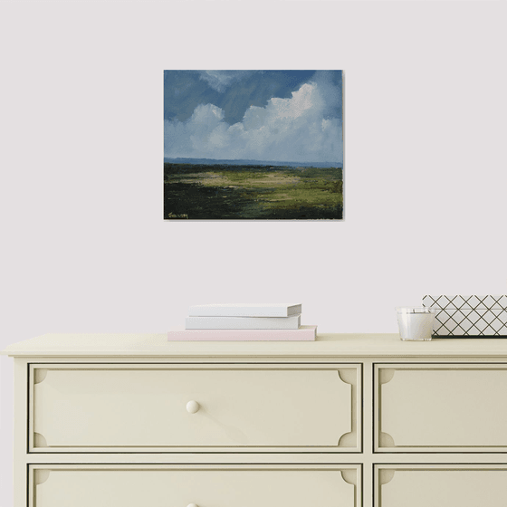 The wetlands, Irish Landscape