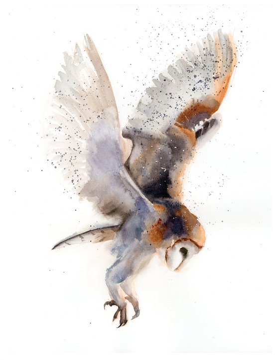 Flying Barn Owl