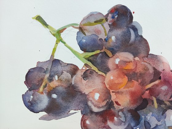 Grapes 5