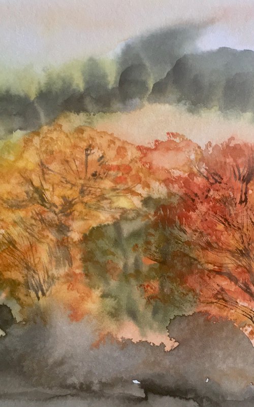Colours of the woods by Samantha Adams