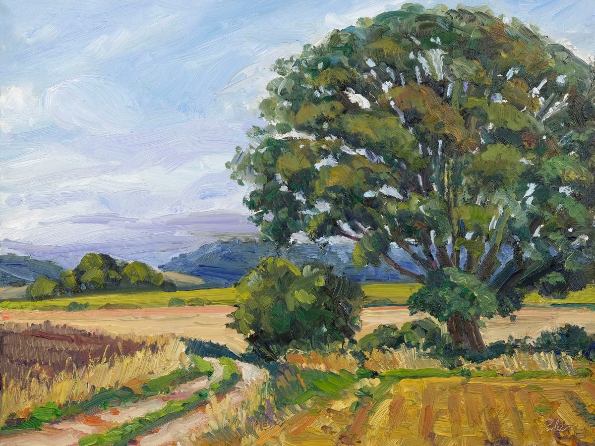 Expressive Landscape Oil Painting By Jeff Parker, 16 X 12, September Oak, Original Artwork