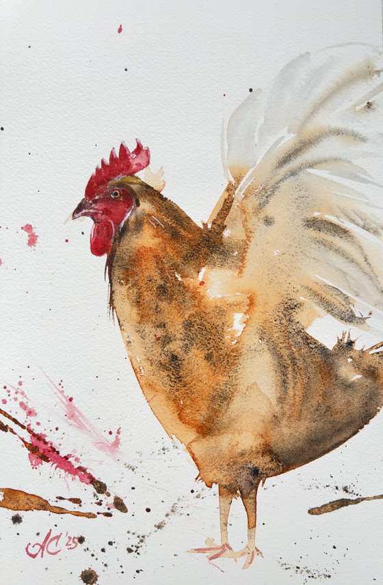 Birds: Turkey and Rooster