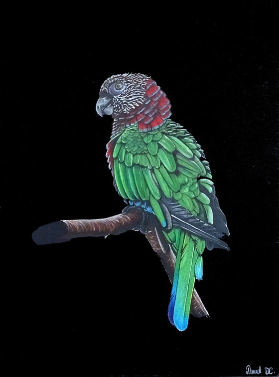 The greeen parrot