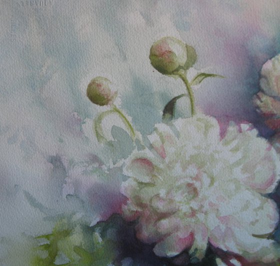 Peonies