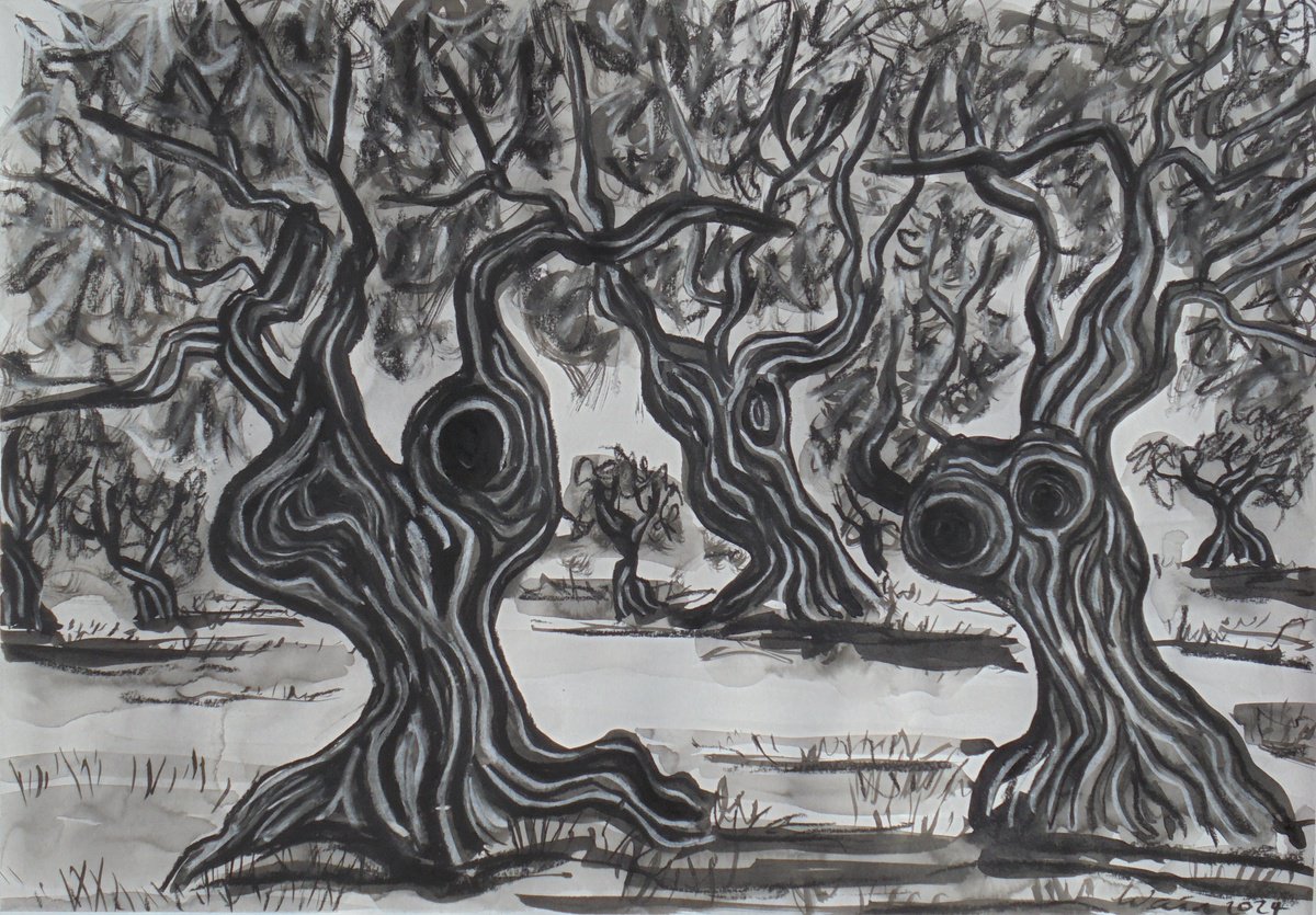 Olive Trees by Kirsty Wain