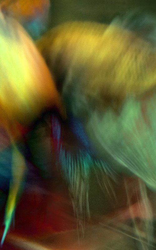 Betta Blur 17 by MICHAEL FILONOW