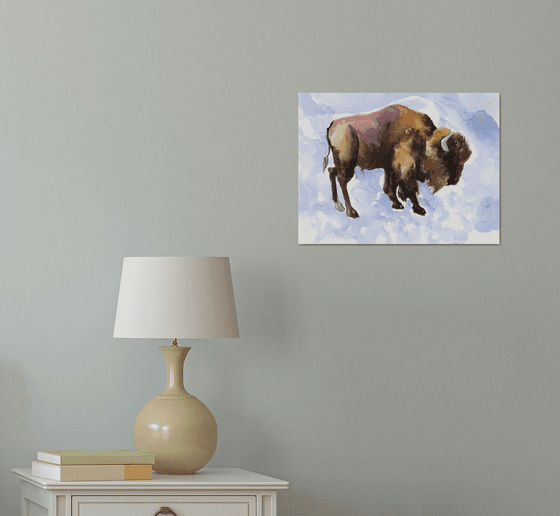 Bison