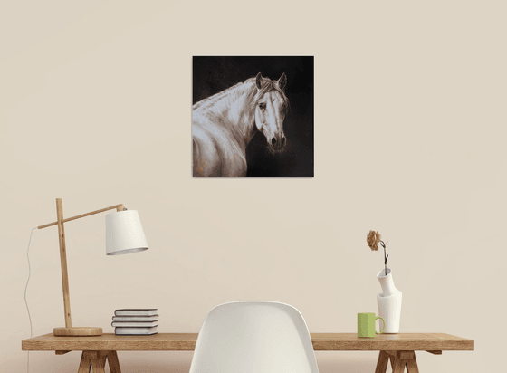 Horse portrait in monochrome